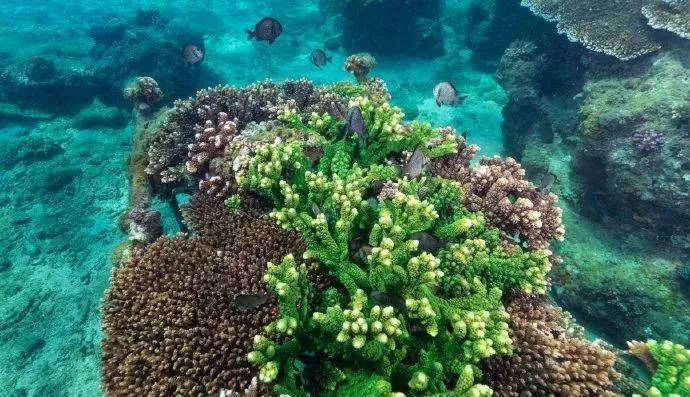 分界洲岛海底的秘密，藏不住了！休闲区蓝鸢梦想 - Www.slyday.coM