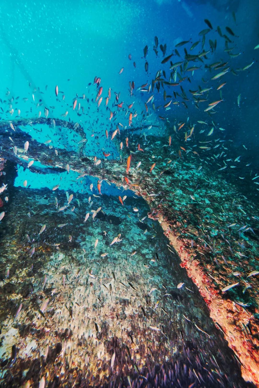 分界洲岛海底的秘密，藏不住了！休闲区蓝鸢梦想 - Www.slyday.coM