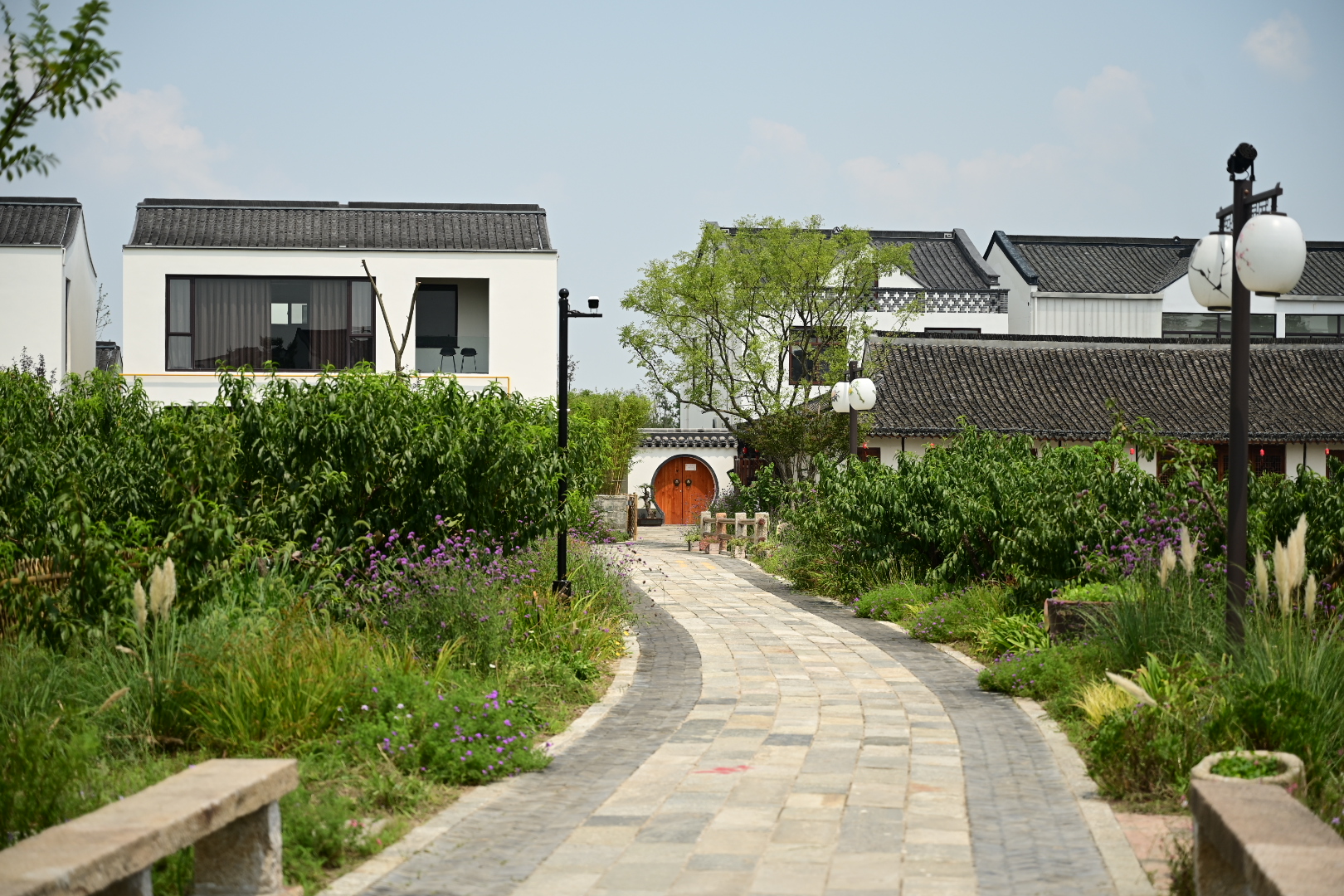 中国设计院设计出来的农村,上海吴房村,被称为魔都的后花园|设计院