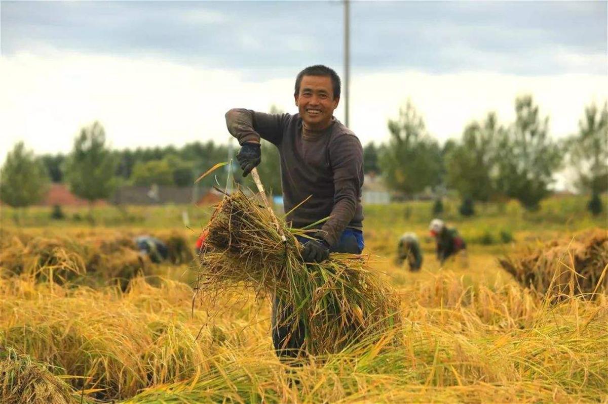 1975年老农发现一具手铐尸骸，是失踪20年的女烈士，惊动当地政府休闲区蓝鸢梦想 - Www.slyday.coM