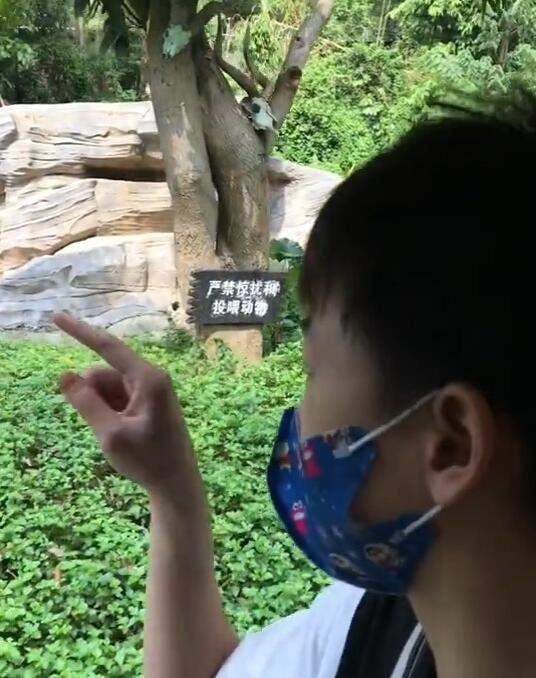 陪张家齐看电影,再陪全红婵逛动物园,网友:森哥再找陈芋汐玩?休闲区蓝鸢梦想 - Www.slyday.coM 陪张家齐看电影,再陪全红婵逛动物园,网友:森哥再找陈芋汐玩?休闲区蓝鸢梦想 - Www.slyday.coM