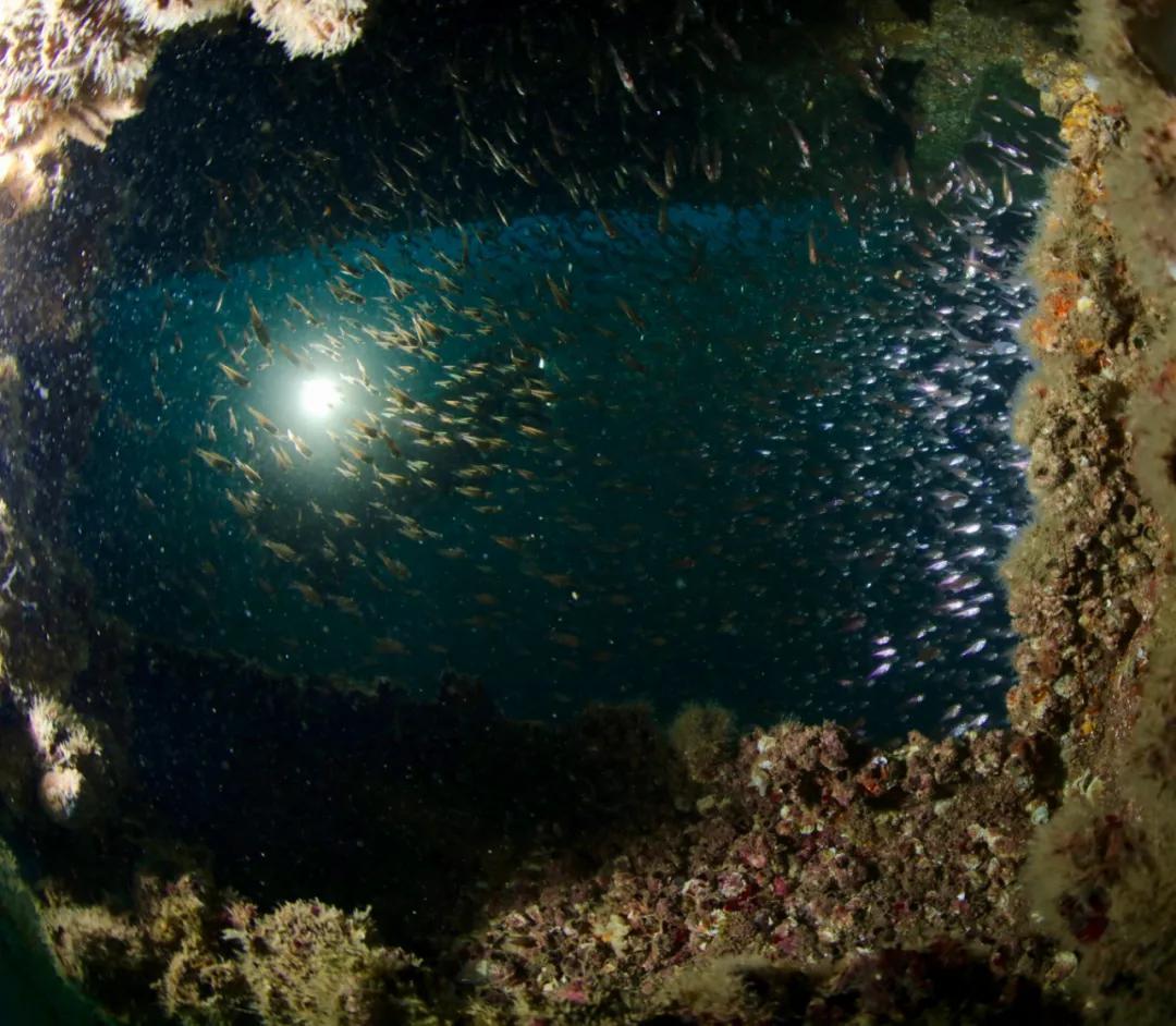 分界洲岛海底的秘密，藏不住了！休闲区蓝鸢梦想 - Www.slyday.coM