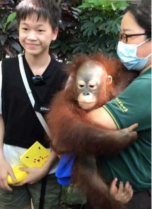 陪张家齐看电影,再陪全红婵逛动物园,网友:森哥再找陈芋汐玩?休闲区蓝鸢梦想 - Www.slyday.coM 陪张家齐看电影,再陪全红婵逛动物园,网友:森哥再找陈芋汐玩?休闲区蓝鸢梦想 - Www.slyday.coM