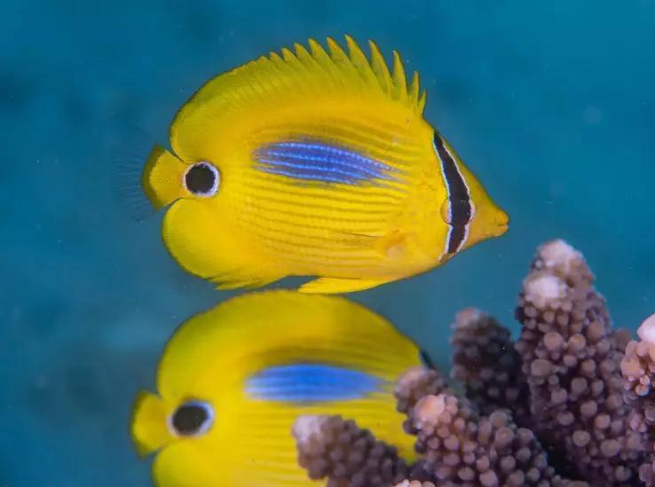 分界洲岛海底的秘密，藏不住了！休闲区蓝鸢梦想 - Www.slyday.coM