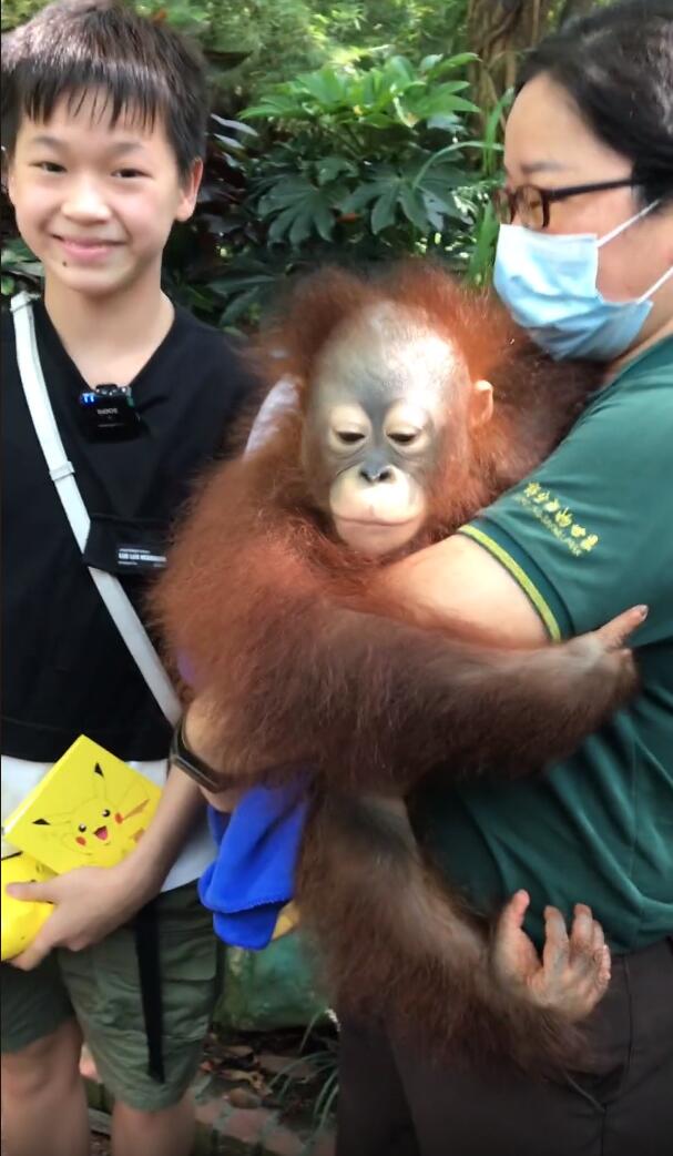 全红婵太开心了！接了广告后又逛动物园，还疑似入住超豪华酒店休闲区蓝鸢梦想 - Www.slyday.coM