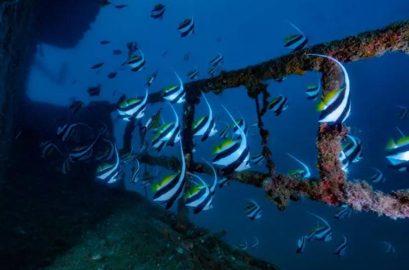 分界洲岛海底的秘密，藏不住了！休闲区蓝鸢梦想 - Www.slyday.coM