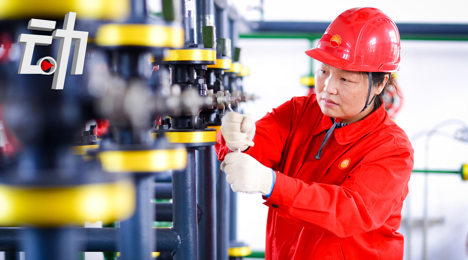 "油二代"刘丽 担起新时代石油人的使命