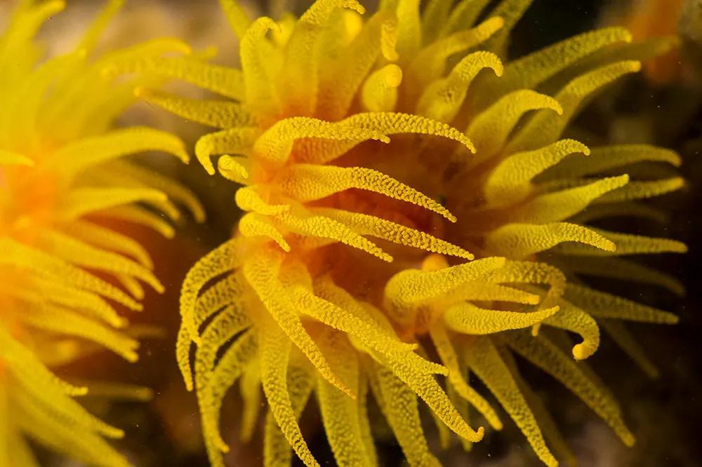 分界洲岛海底的秘密，藏不住了！休闲区蓝鸢梦想 - Www.slyday.coM