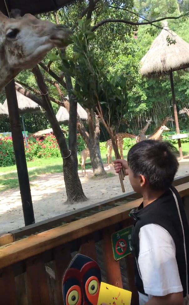 全红婵太开心了！接了广告后又逛动物园，还疑似入住超豪华酒店休闲区蓝鸢梦想 - Www.slyday.coM