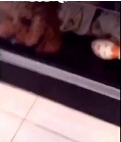 狗狗偏要跟着主人出门，主人用坏前主人来吓狗狗，狗狗反应好心疼休闲区蓝鸢梦想 - Www.slyday.coM