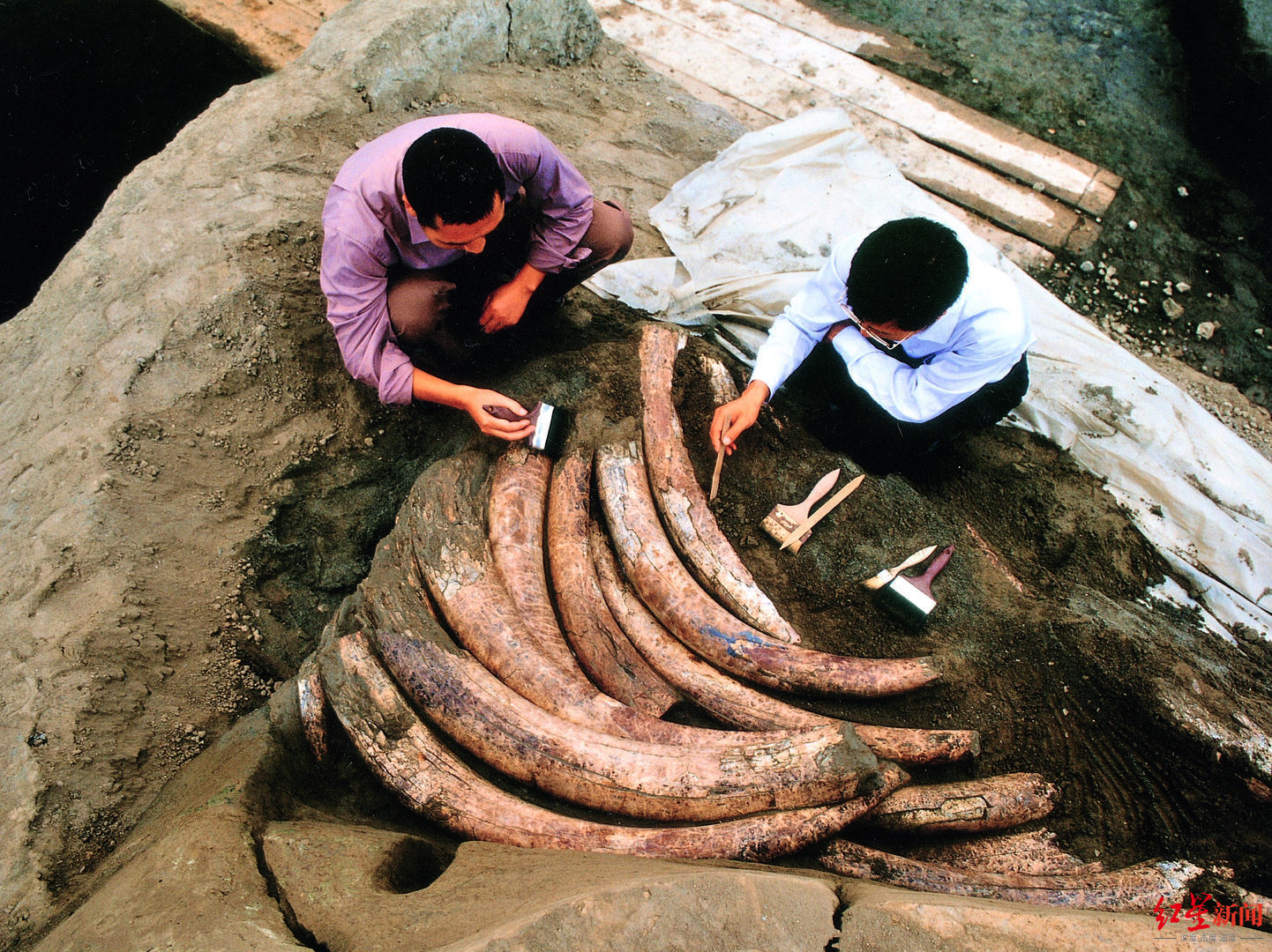 金沙遗址考古发掘现场(资料图)