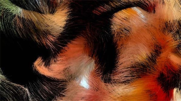 一场沉浸式的视听交响，这位“理工男”如何让二十四节气伴乐起舞？休闲区蓝鸢梦想 - Www.slyday.coM