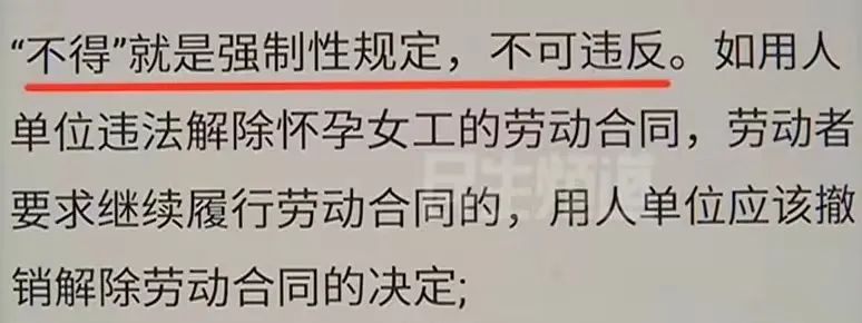 郑州女子怀孕七个月，被公司称没产假劝退？网友：太寒心了！休闲区蓝鸢梦想 - Www.slyday.coM