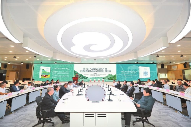 跨越时空的展示与对话休闲区蓝鸢梦想 - Www.slyday.coM