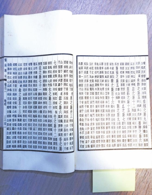 跨越时空的展示与对话休闲区蓝鸢梦想 - Www.slyday.coM