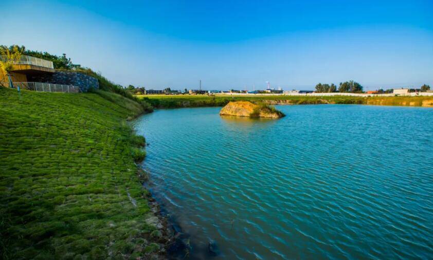 打造城市绿心!临沂罗庄银凤湖公园秀姿初现