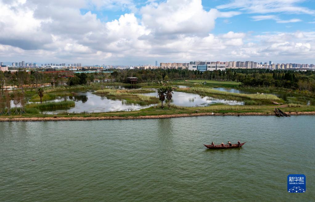 　　工作人员在昆明宝丰半岛湿地周边打捞杂物。 新华社记者 江文耀 摄