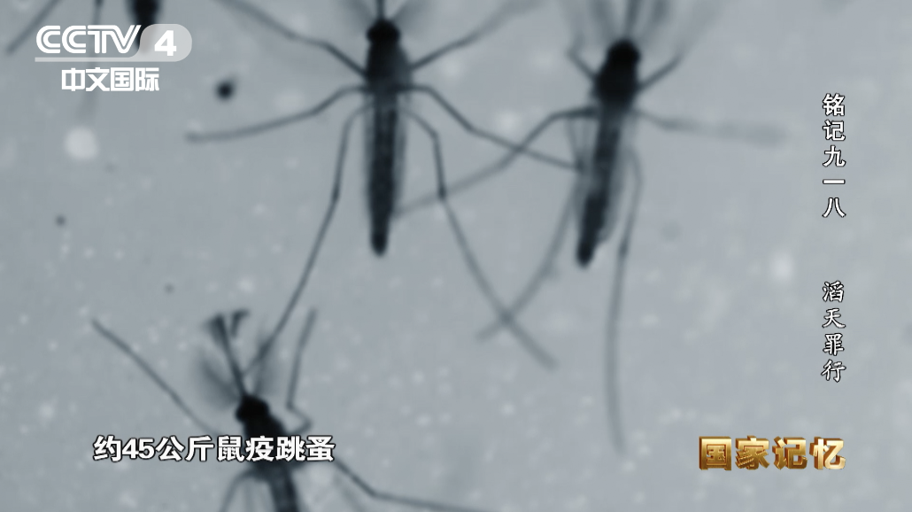 关注！江苏一私家车贴“日本731部队必胜”？警方出手了休闲区蓝鸢梦想 - Www.slyday.coM