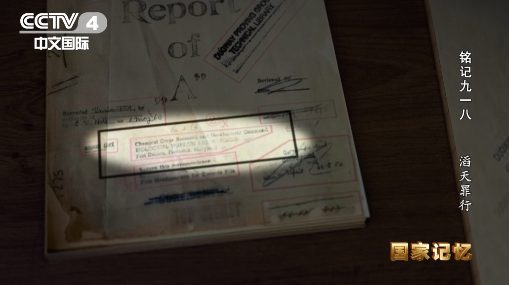 关注！江苏一私家车贴“日本731部队必胜”？警方出手了休闲区蓝鸢梦想 - Www.slyday.coM