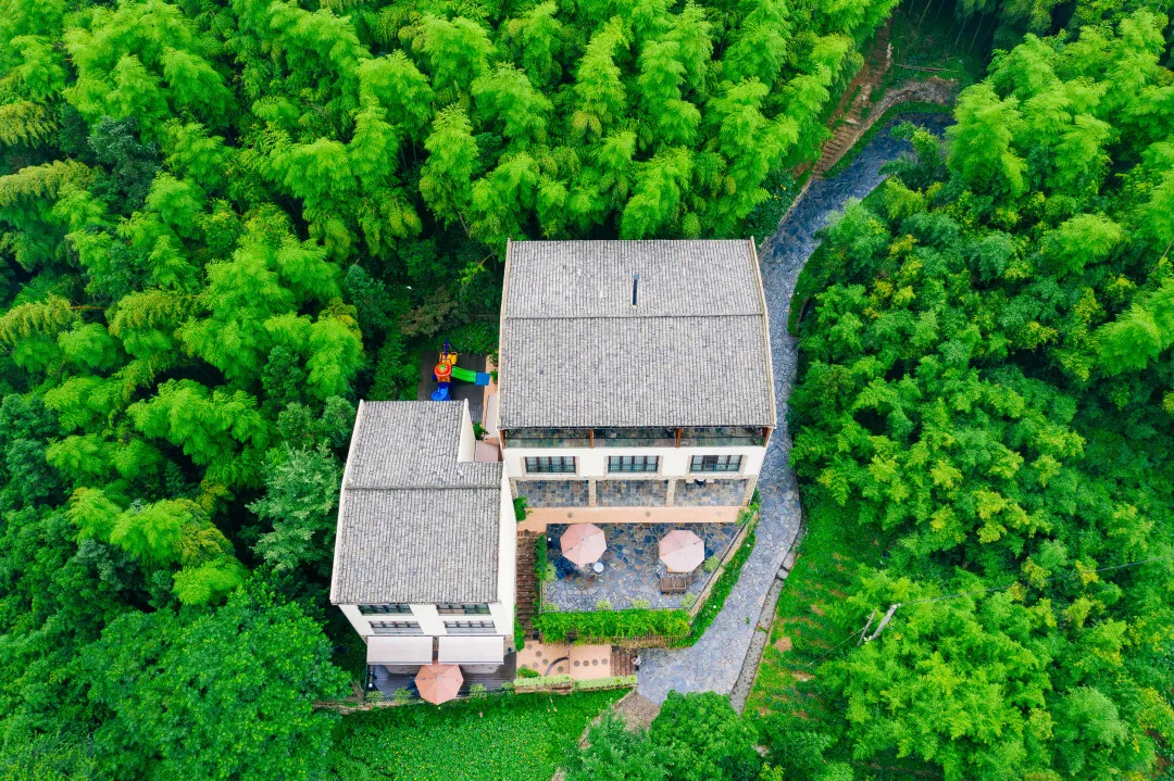 莫干山网红滑梯民宿!真正的乡村野奢,体验矿泉恒温泳池丨 宿里__财经头条