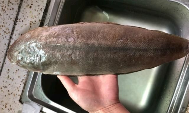 肉质最鲜嫩的7种鱼,营养鲜美鱼刺少,小孩常吃,强健体质