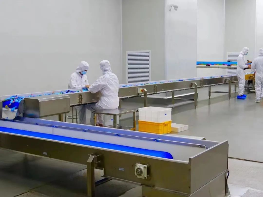 专业见证品质护航走进妙可蓝多奶酪工厂直击品牌硬实力