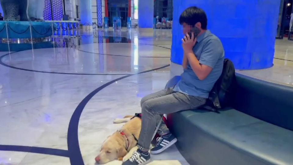 珠海长隆就导盲犬入住酒店遭拒致歉？不了解它们的意义，请勿发言休闲区蓝鸢梦想 - Www.slyday.coM