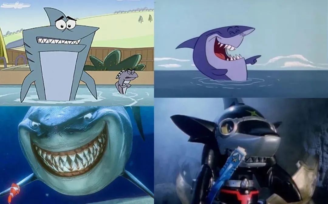 抬起了头的鲨鱼怎么变成了网红萌物