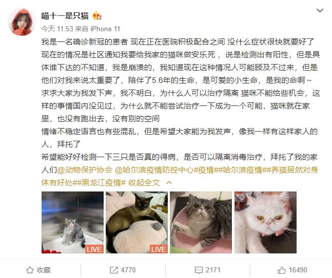 哈尔滨一确诊病例所养3只猫两次核酸呈阳性，被执行安乐死！休闲区蓝鸢梦想 - Www.slyday.coM