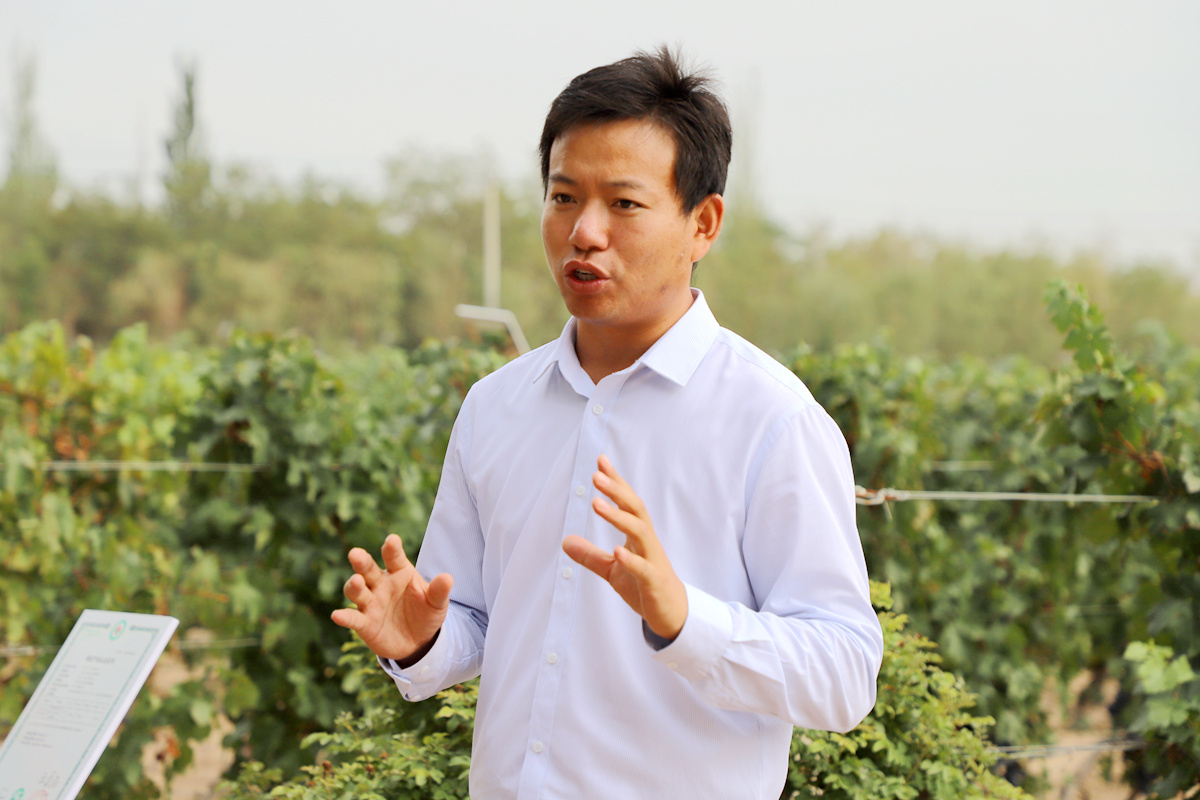 石榴花开籽籽同心山海情中白麦苗人物原型刘莉移民妇女华丽变身