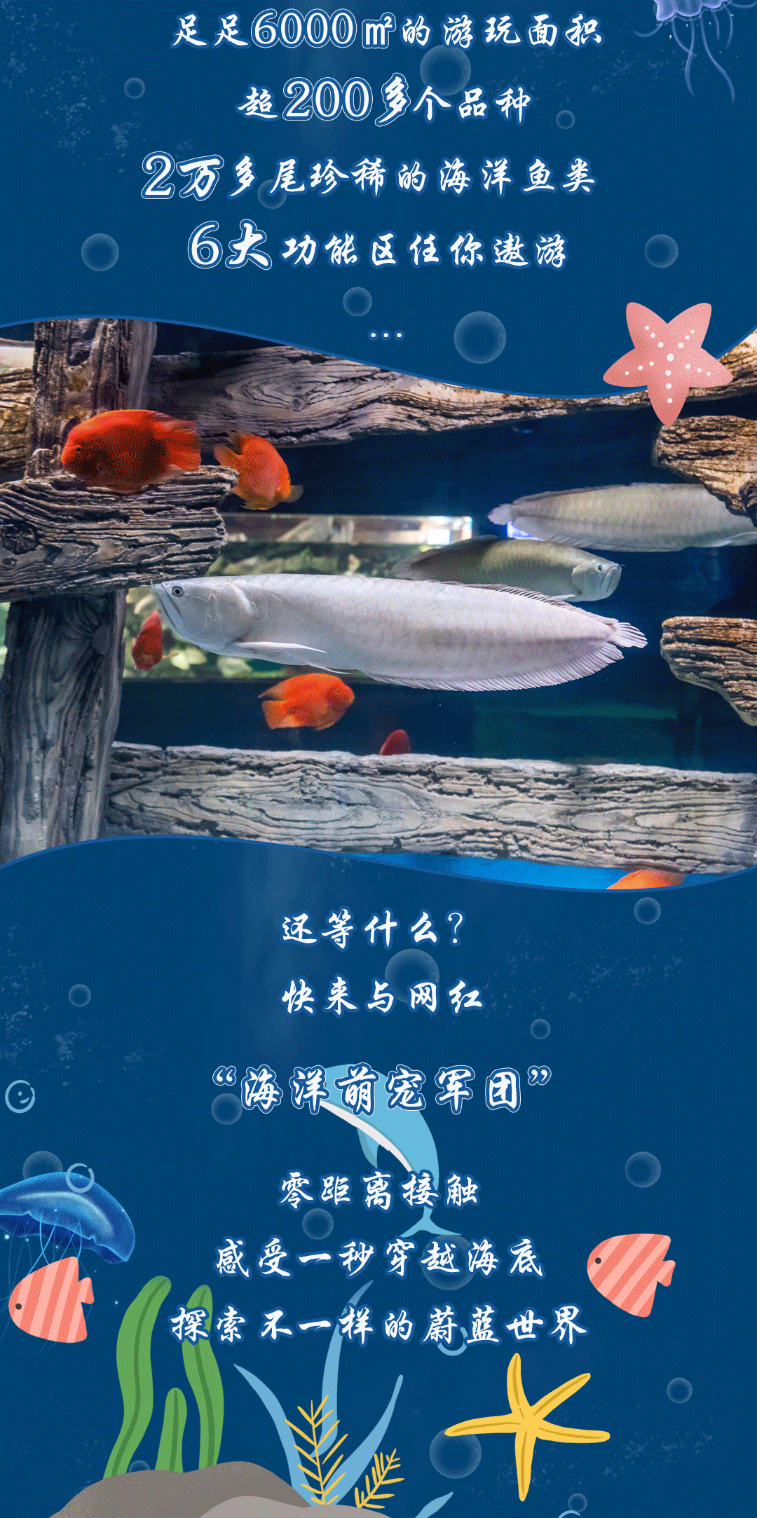 文化中心海底世界分为海底隧道,珊瑚海生物梦幻水母馆,大堡礁,热带