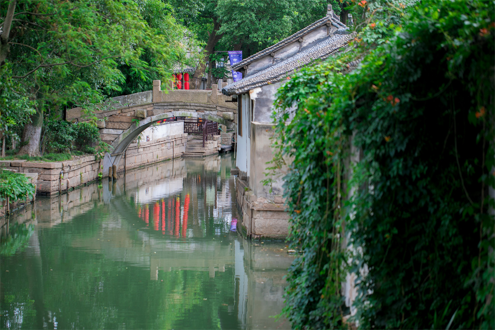 甪直古镇水乡巨匠还有酱萝卜