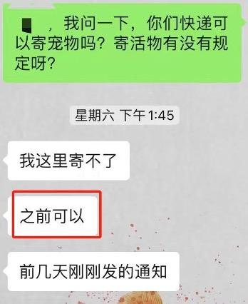 百余只活体宠物盲盒被遗弃上海街头，承运方是谁？中通回应“与其无关已报警”休闲区蓝鸢梦想 - Www.slyday.coM