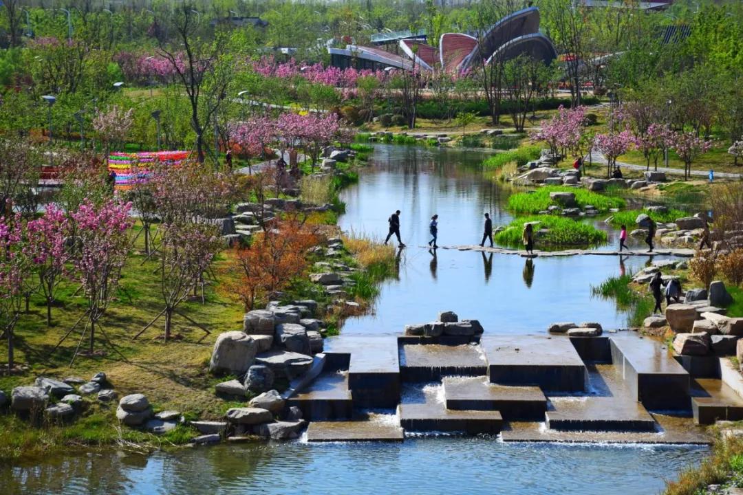 四载相伴,温暖共行,郑州园博园四周岁啦|园博园|郑州|郑州市_新浪新闻
