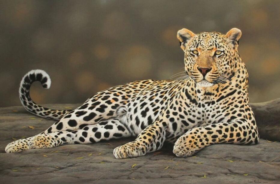 一个人手持一根铁棍能不能打得过一头花豹为什么