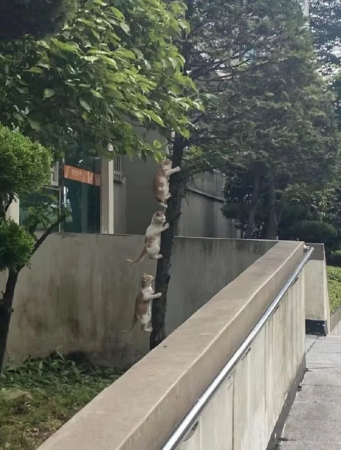 “被美女要微信千万别自作多情！！！”哈哈哈哈哈这结局是我没想到的...休闲区蓝鸢梦想 - Www.slyday.coM