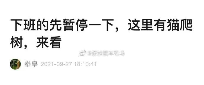 “被美女要微信千万别自作多情！！！”哈哈哈哈哈这结局是我没想到的...休闲区蓝鸢梦想 - Www.slyday.coM