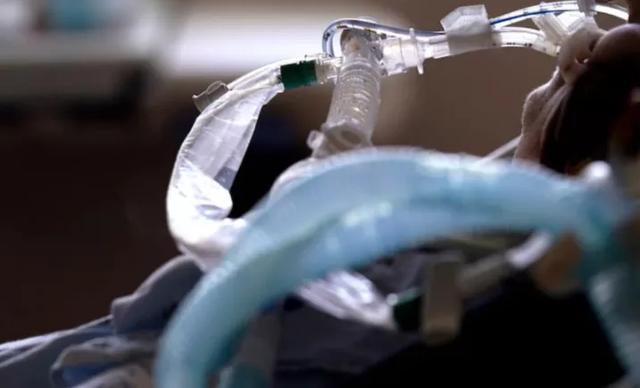 1839例！新州死亡人数暴涨！近40人死前接种2剂疫苗！联邦政府宣布：削减封城补贴，这些华人受影响休闲区蓝鸢梦想 - Www.slyday.coM