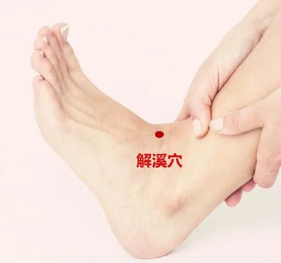 按一穴:解溪穴中医认为刺激解溪穴具有清胃化痰,健运脾胃,镇惊安神
