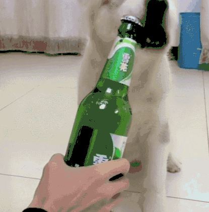 415_421gif 动态图 动图