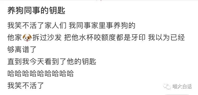 “被美女要微信千万别自作多情！！！”哈哈哈哈哈这结局是我没想到的...休闲区蓝鸢梦想 - Www.slyday.coM