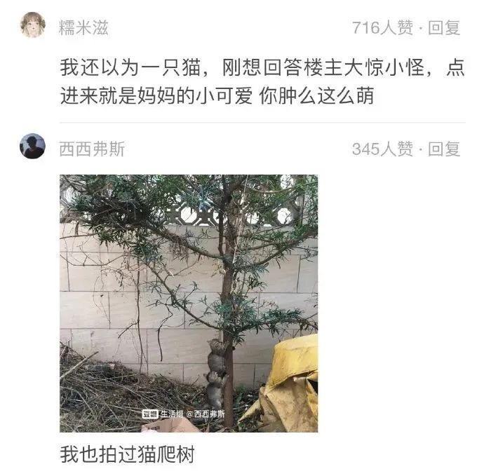 “被美女要微信千万别自作多情！！！”哈哈哈哈哈这结局是我没想到的...休闲区蓝鸢梦想 - Www.slyday.coM