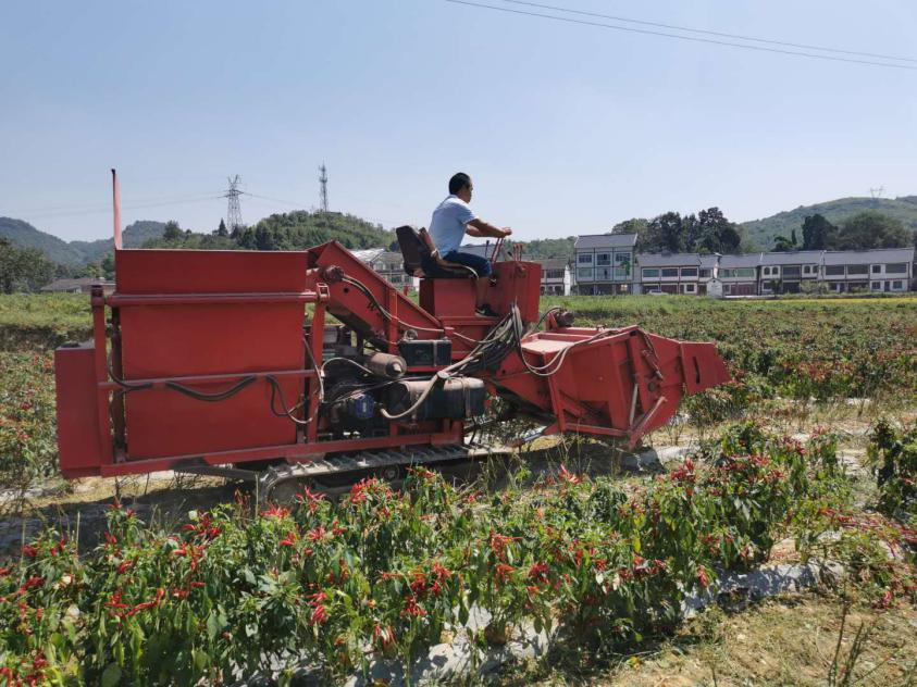 我校合作研发的4jz10a型履带式辣椒收获机在第二届贵阳工业博览会展出