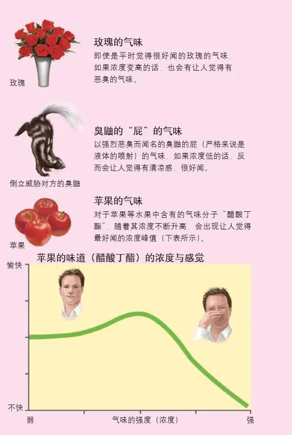 家里的怪味有哪些成分组成?