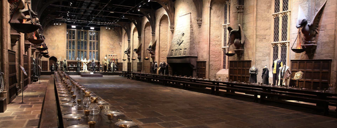 戴锦华谈哈利波特对生死的尊重是罗琳想象世界的底线