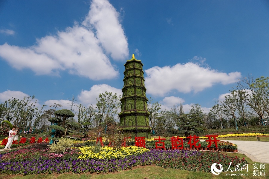 阜阳市举办第三届花卉博览会