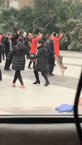 “被美女要微信千万别自作多情！！！”哈哈哈哈哈这结局是我没想到的...休闲区蓝鸢梦想 - Www.slyday.coM