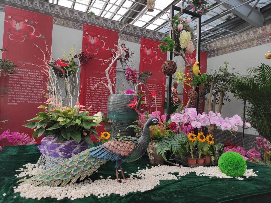 第21届中国(青州)花卉博览交易会今日开幕|青州市|中国_新浪新闻