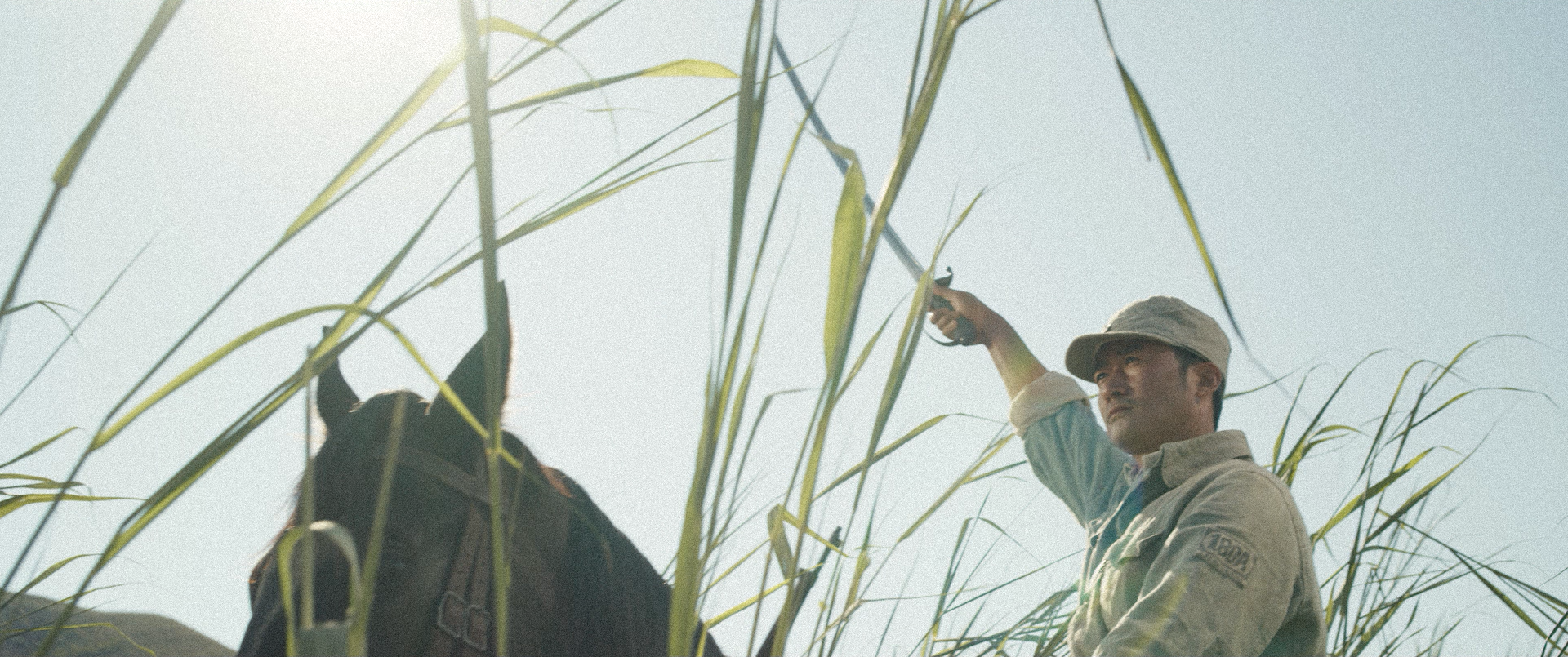 《我和我的父辈》里的十大感人瞬间，每一个都让人眼泪破防！休闲区蓝鸢梦想 - Www.slyday.coM