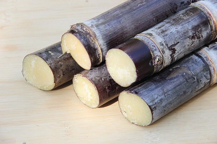 6种水果被称为女性的“补血果”，经常吃一点，脸色红润有光泽休闲区蓝鸢梦想 - Www.slyday.coM